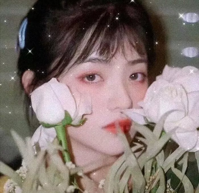 舌尖上的世界